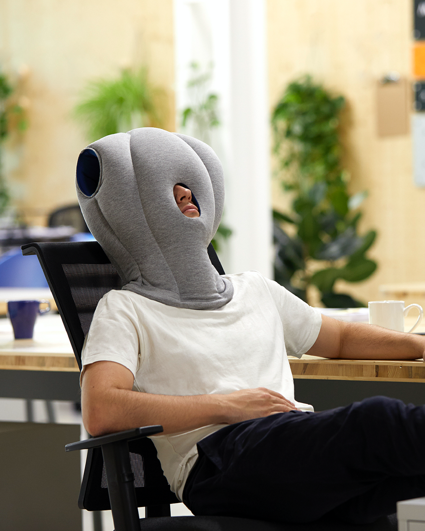 Original Napping Pillow